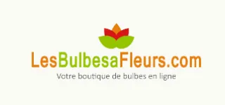 lesbulbesafleurs.com logo